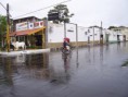 /album/galeria-de-fotos-galeria-de-fotos/bvbobo-jpg/